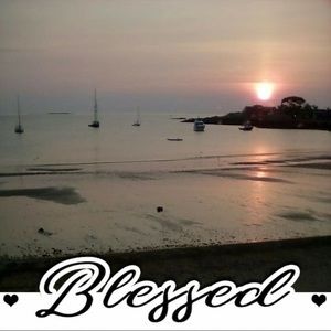 Meet your Posher, Ellen